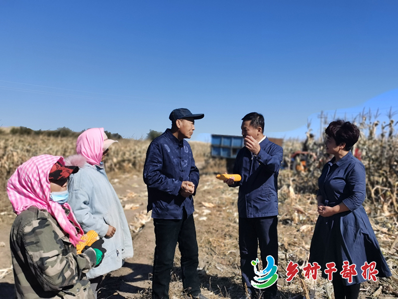 內(nèi)蒙古突泉縣委書(shū)記圖王審(屈振年（右2）在田間地頭了解產(chǎn)業(yè)發(fā)展情況2.jpg